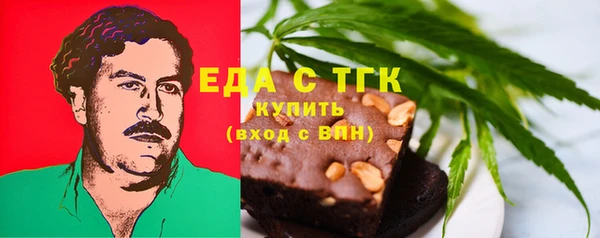 стаф Касимов