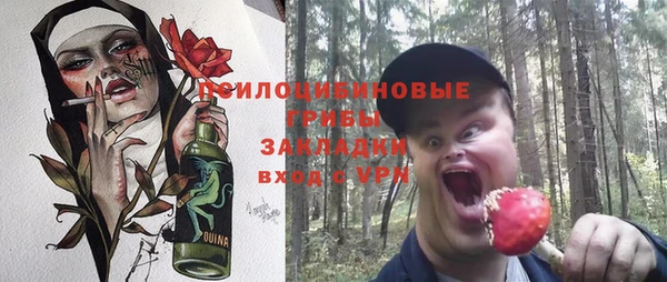 МДПВ Алексеевка