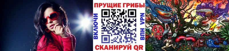 Псилоцибиновые грибы Psilocybine cubensis  Лесной 