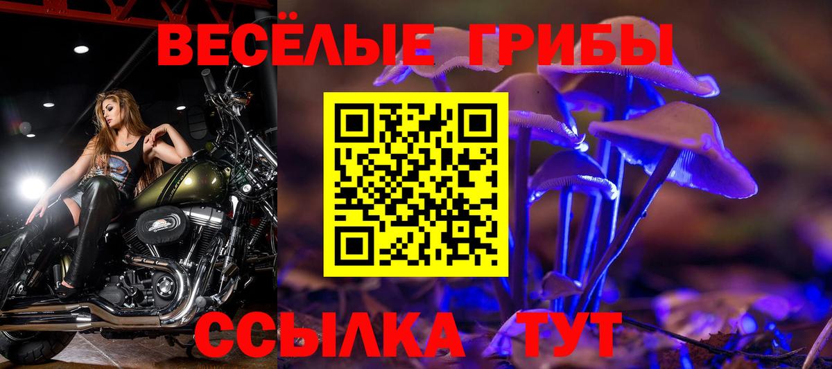 Галлюциногенные грибы мухоморы  Вход с VPN  Лесной  Псилоцибиновые грибы ЛСД 